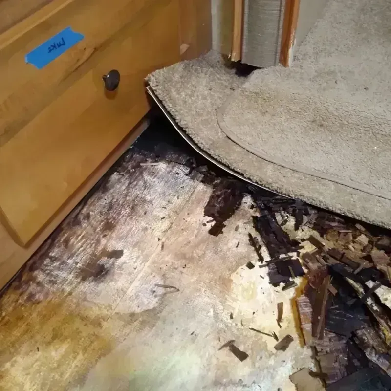 Wood Floor Water Damage in Madison County, NC